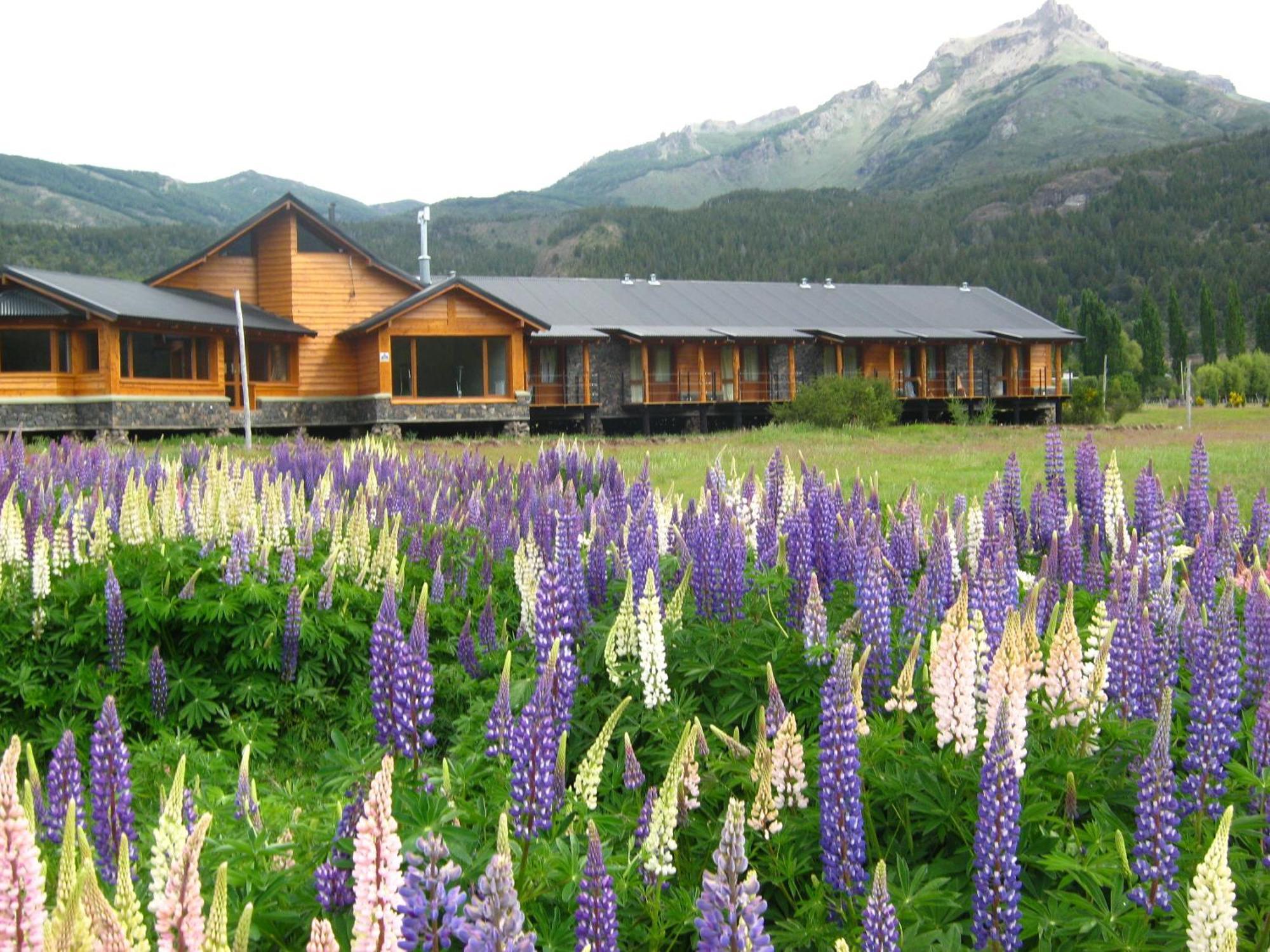Hosteria Ruca Kitai Villa Lago Rivadavia Esterno foto